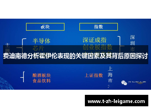 费迪南德分析霍伊伦表现的关键因素及其背后原因探讨