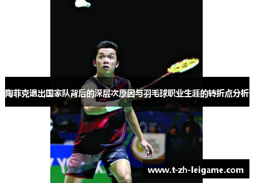 陶菲克退出国家队背后的深层次原因与羽毛球职业生涯的转折点分析
